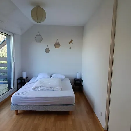 Villa Ref 089 Maison Standing Avec Jardin Et Internet Pour Dix Arzon